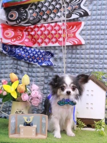 20230510マイアちゃん